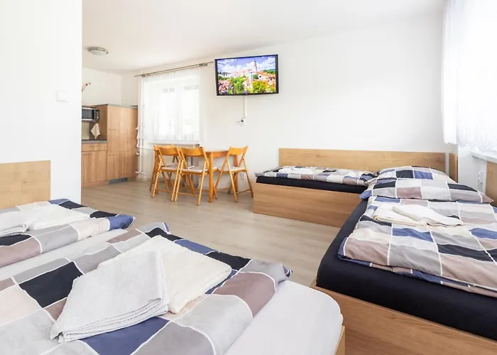 Casa de hóspedes Bezchlebovi 3*